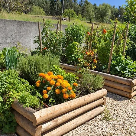 Casa de Férias Casal de São José - Peaceful Country House near Mafra&Lisbon - Garden, Space&Comfort Mafra