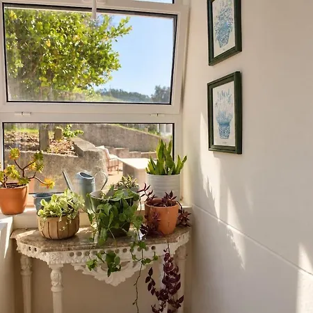 Casal de São José - Peaceful Country House near Mafra&Lisbon - Garden, Space&Comfort